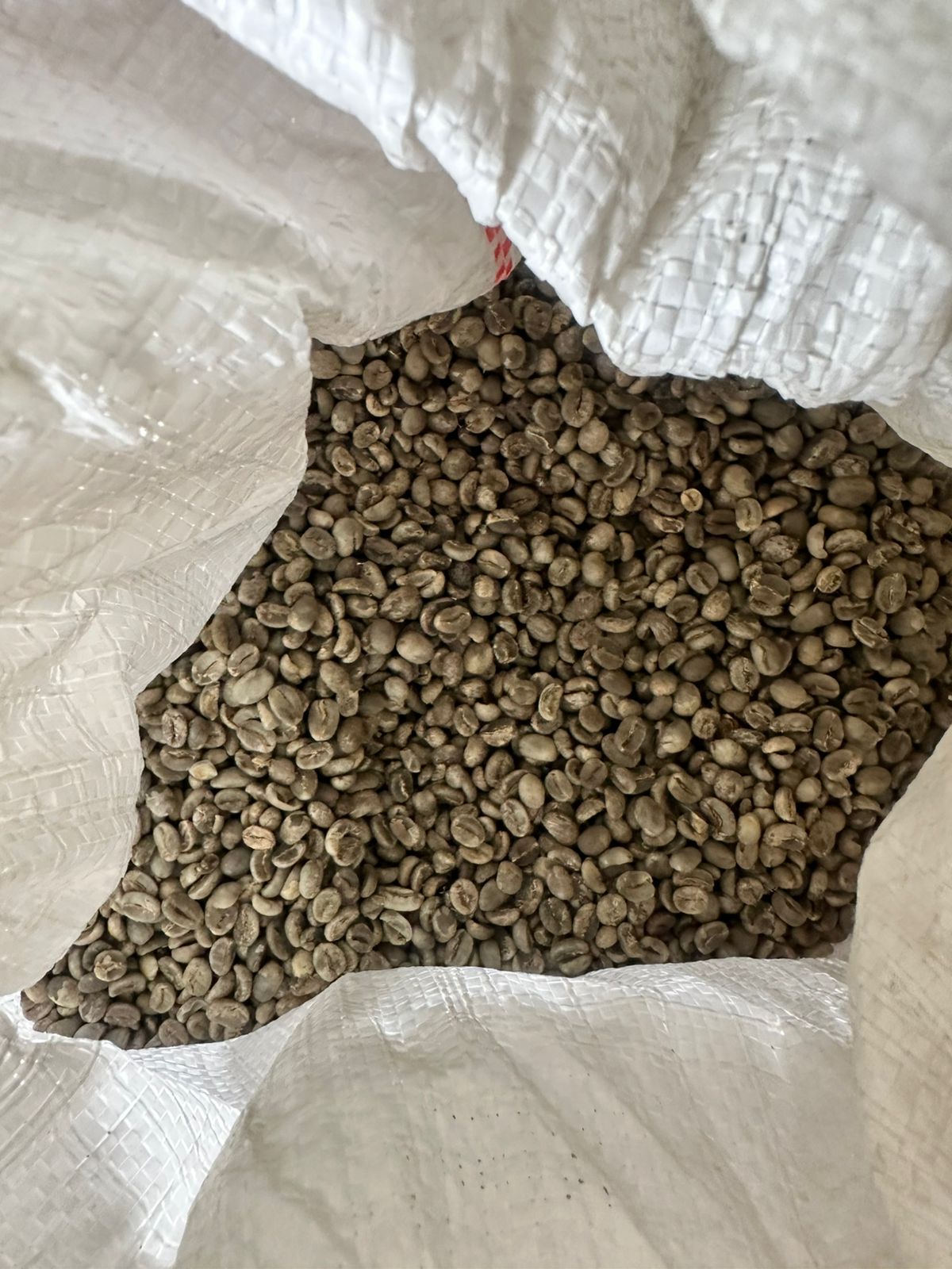Café Vert Arabica Spécialité Kintamani from Indonésie